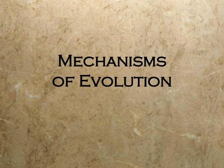 Mechanisms of Evolution