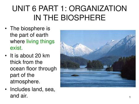 UNIT 6 PART 1: ORGANIZATION IN THE BIOSPHERE