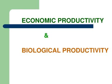 ECONOMIC PRODUCTIVITY