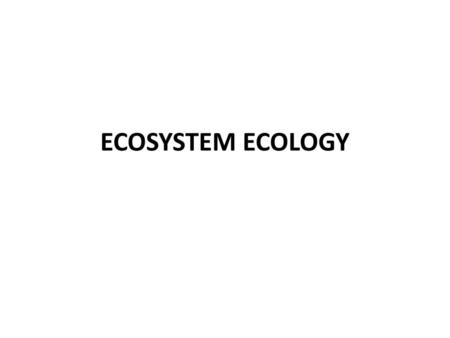 ECOSYSTEM ECOLOGY.