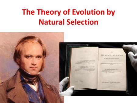 The Theory of Evolution by Natural Selection