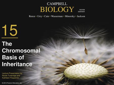 The Chromosomal Basis of Inheritance