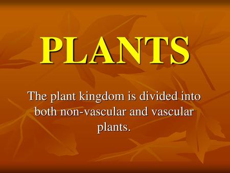 PLANTS The plant kingdom is divided into both non-vascular and vascular plants.