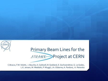 Primary Beam Lines for the Project at CERN