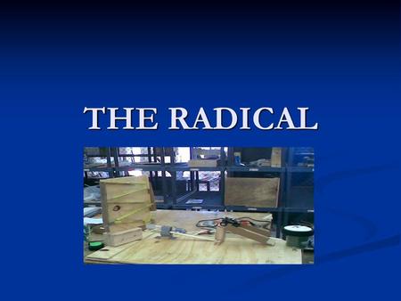 THE RADICAL.