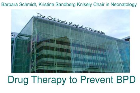 Barbara Schmidt, Kristine Sandberg Knisely Chair in Neonatology