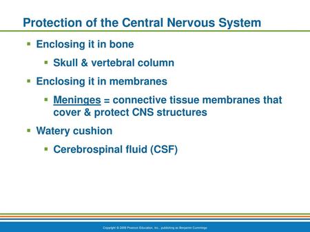 Protection of the Central Nervous System