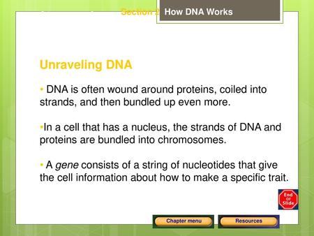 Chapter C4 Unraveling DNA