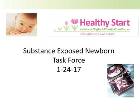 Substance Exposed Newborn Task Force