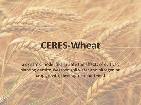 CERES-Wheat a dynamic model to simulate the effects of cultivar, planting density, weather, soil water and nitrogen on crop growth, development and yield.