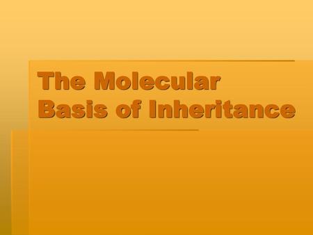 The Molecular Basis of Inheritance