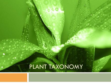 PLANT TAXONOMY.