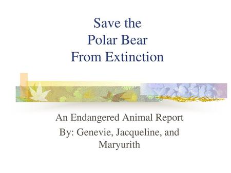 Save the Polar Bear From Extinction