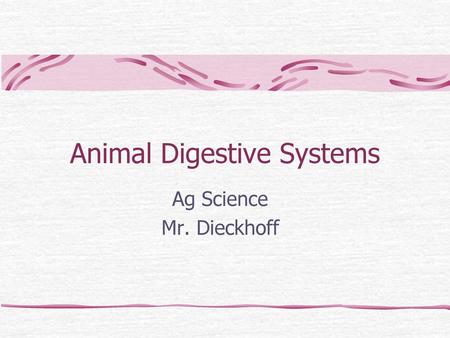 Animal Digestive Systems