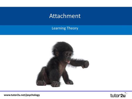 Attachment Learning Theory.