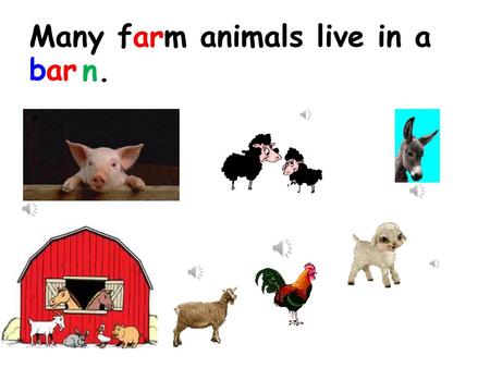 Many farm animals live in a