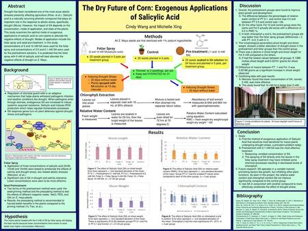 The Dry Future of Corn: Exogenous Applications of Salicylic Acid