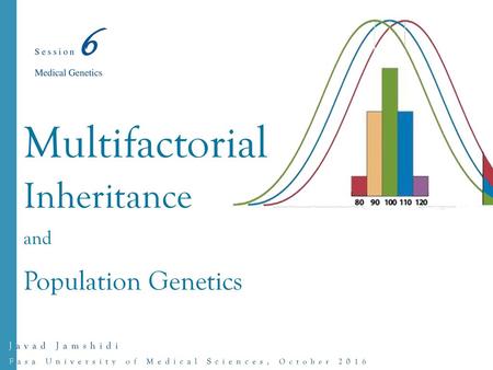 Multifactorial Inheritance