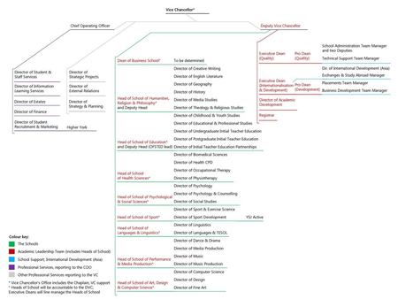 Vice Chancellor* Chief Operating Officer Deputy Vice Chancellor