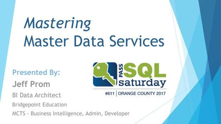 Mastering Master Data Services