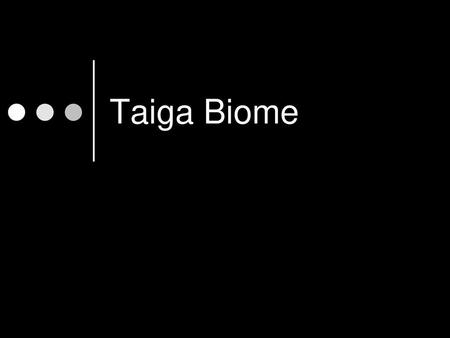 Taiga Biome.