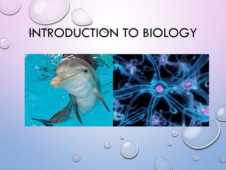 Introduction to Biology