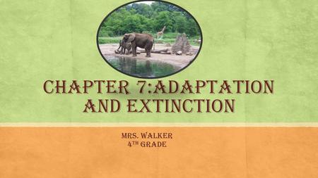 Chapter 7:Adaptation and Extinction