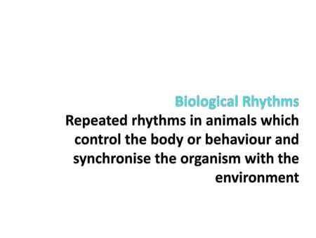 Biological Rhythms Repeated rhythms in animals which control the body or behaviour and synchronise the organism with the environment.