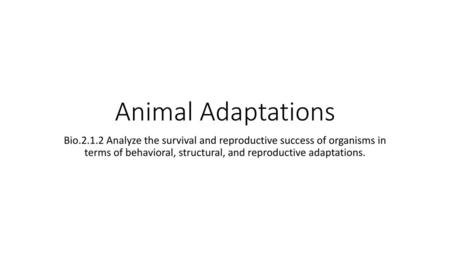 Animal Adaptations Bio.2.1.2 Analyze the survival and reproductive success of organisms in terms of behavioral, structural, and reproductive adaptations.