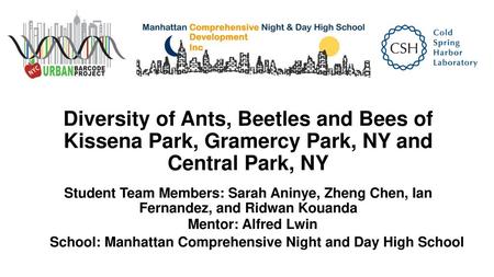 School: Manhattan Comprehensive Night and Day High School