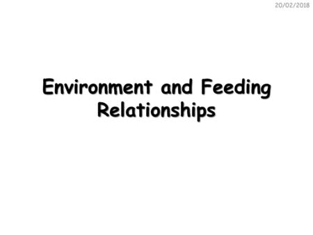 Environment and Feeding Relationships