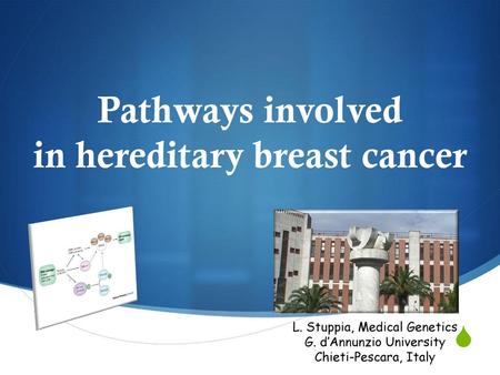 Pathways involved in hereditary breast cancer