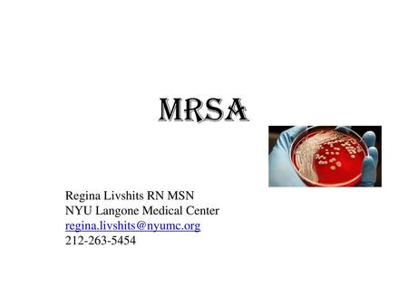 MRSA Regina Livshits RN MSN NYU Langone Medical Center