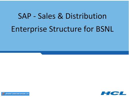 SAP - Sales & Distribution Enterprise Structure for BSNL