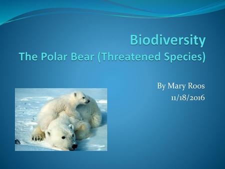 Biodiversity The Polar Bear (Threatened Species)