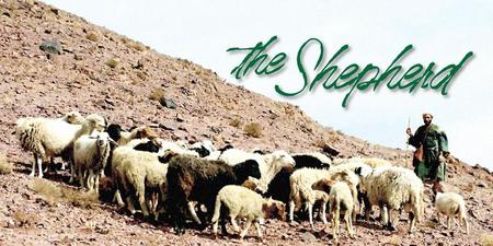 1. Never does the good shepherd take the sheep where he (has never gone).