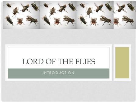 Lord of the Flies Introduction.