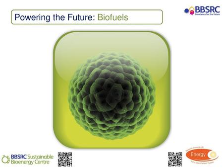 Powering the Future: Biofuels