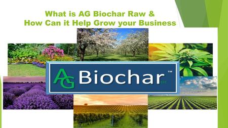 What is AG Biochar Raw & How Can it Help Grow your Business