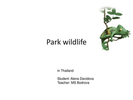 Park wildlife in Thailand Student: Alena Davidova Teacher: MS Bodrova.