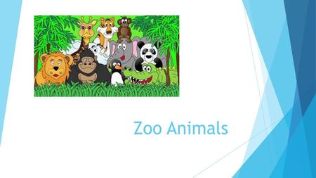 Zoo Animals.