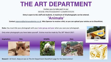 THE ART DEPARTMENT ’Animals’ HOUSE PHOTOGRAPHY COMPETITION