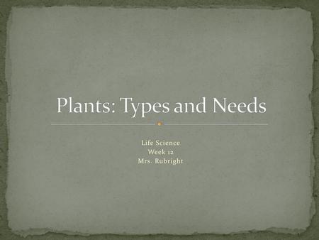 Plants: Types and Needs