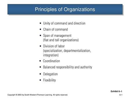 Principles of Organizations