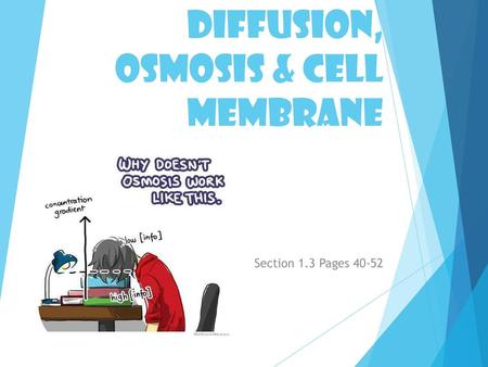 Diffusion, Osmosis & Cell Membrane