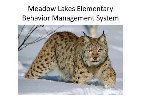 Meadow Lakes Elementary Behavior Management System