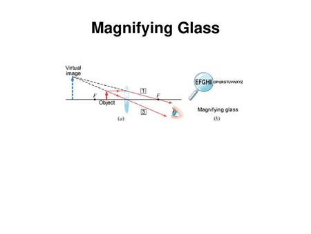 Magnifying Glass.