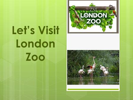 Let’s Visit London Zoo.