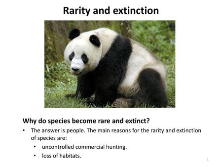 Rarity and extinction Why do species become rare and extinct?