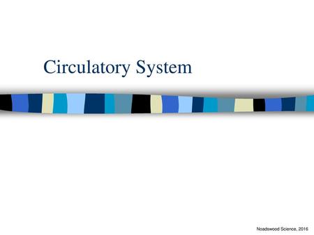 Circulatory System Noadswood Science, 2016.